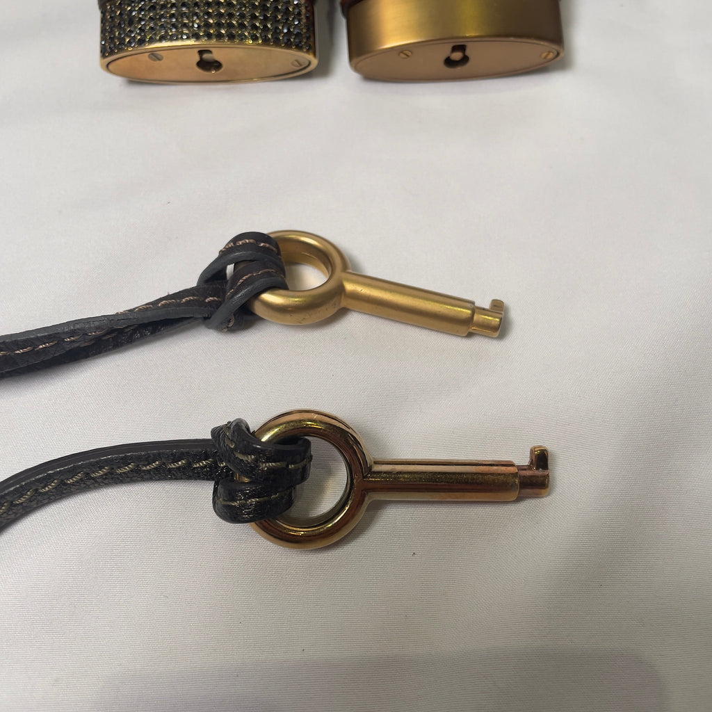 🔥 Pre-owned CHLOÉ 2011 brown paddington bag Swarovski 🔥