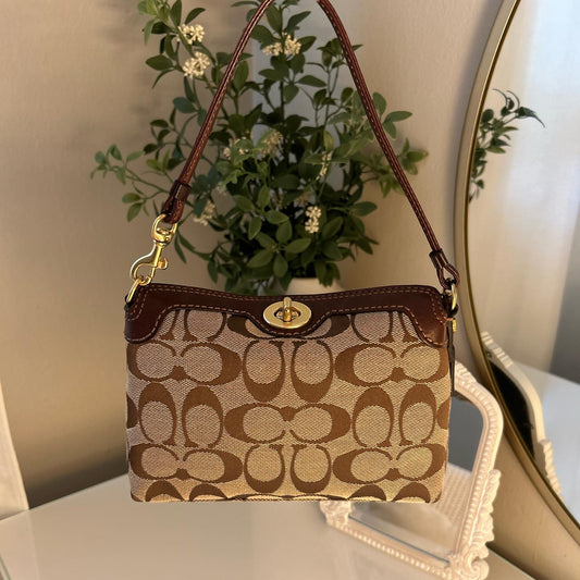 coach brown vintage bag