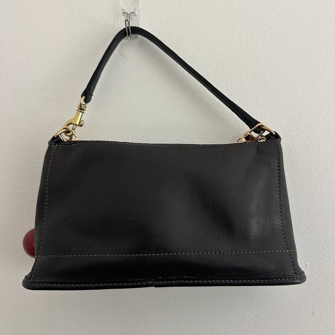 coach bag 1
