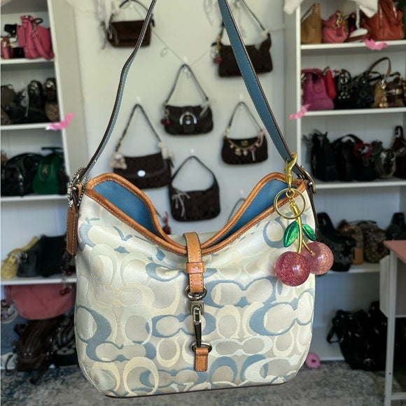 y2k coach hampton hobo clip