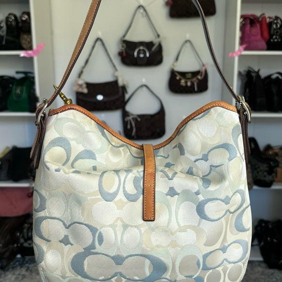 y2k coach hampton hobo clip