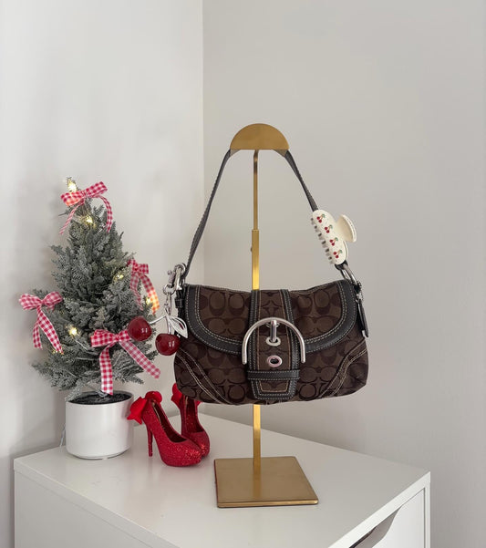 brown  coachvintage bag 10